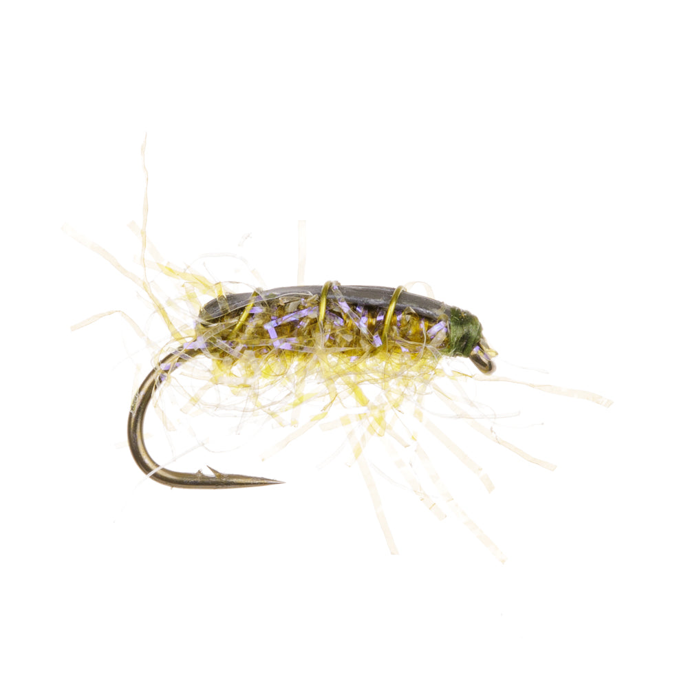 SHRIMP BUG