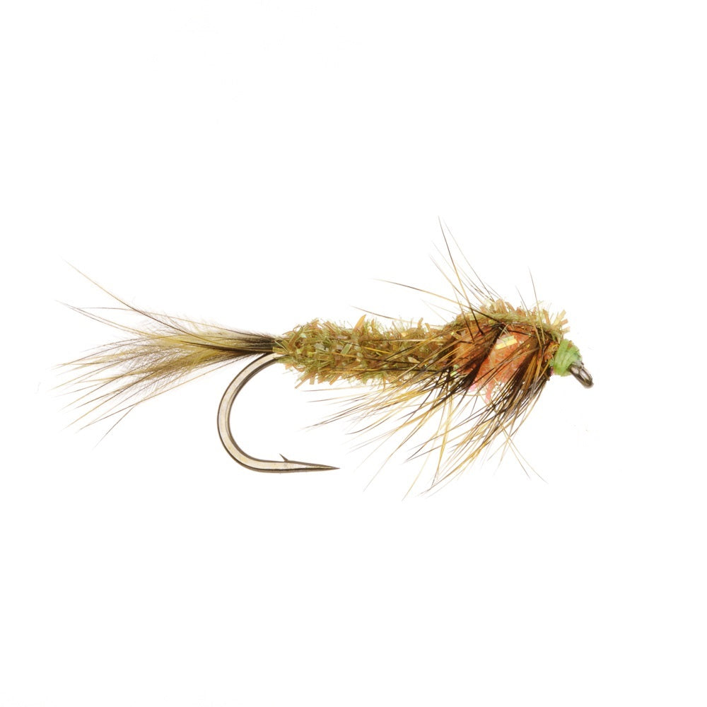 CACTUS COOPERS DAMSEL