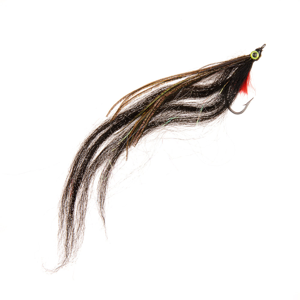 ROGUE EEL