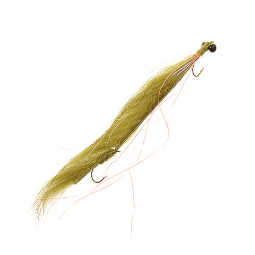 OLIVE SNAKE FLY