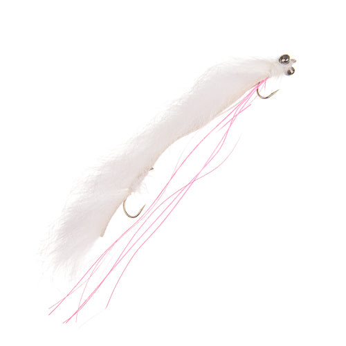 WHITE SNAKE FLY