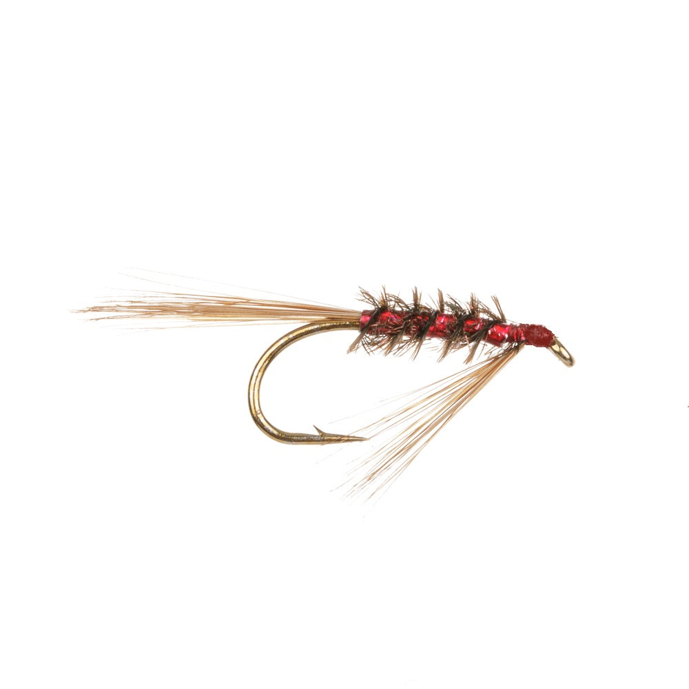 DIAWL BACH-HOLO RED