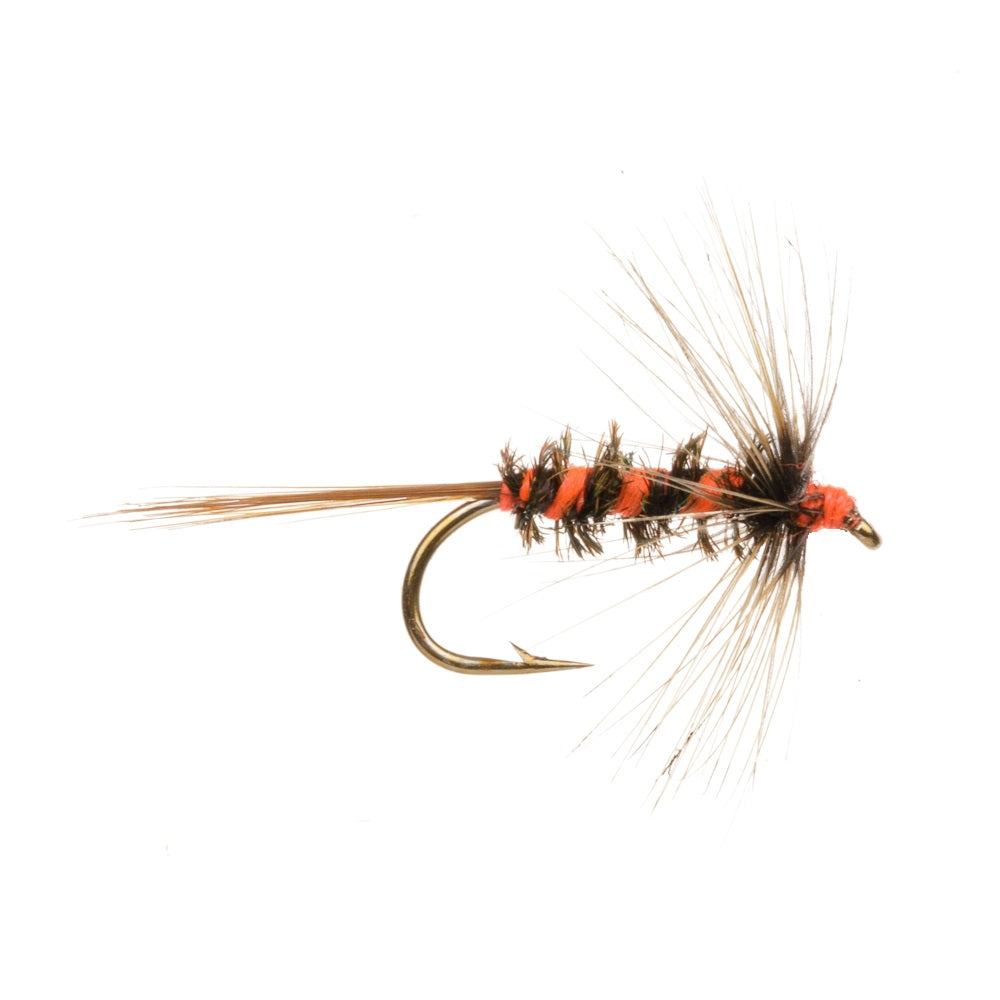 CRUNCHER HOT HEAD