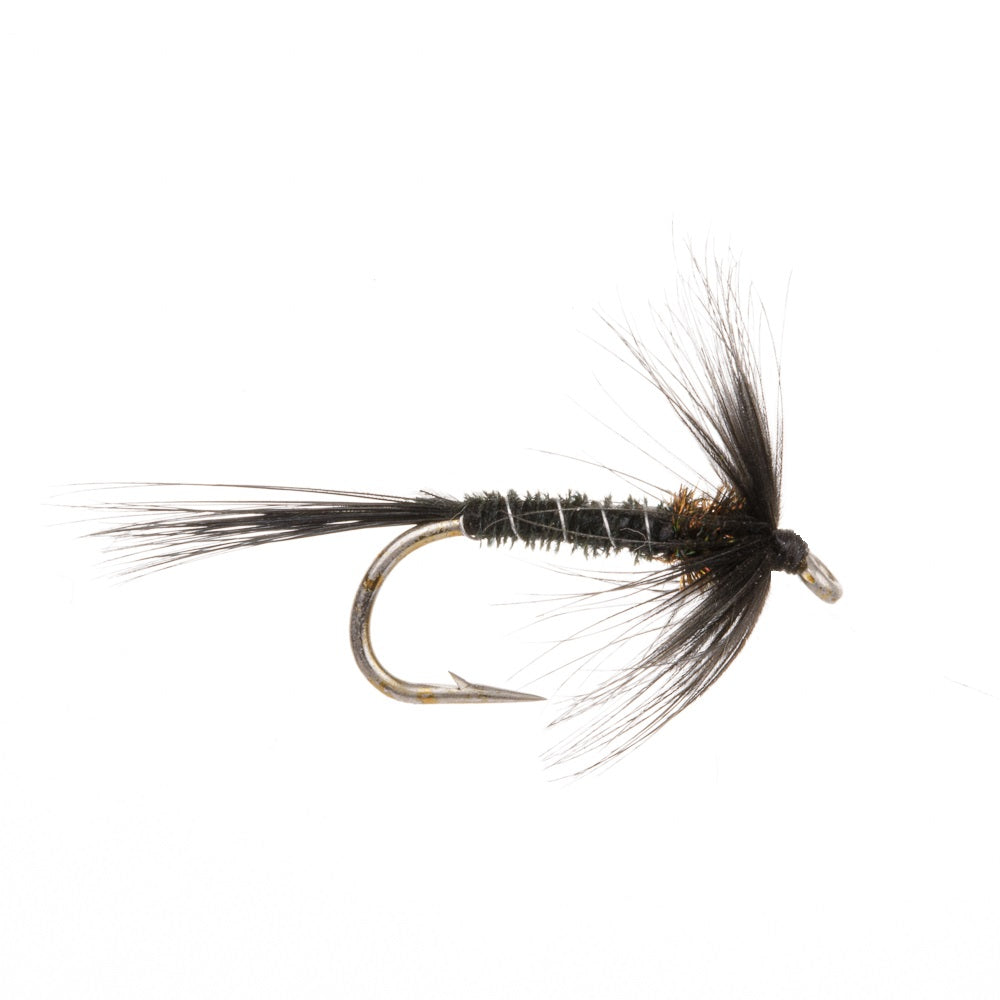 BLACK CRUNCHER