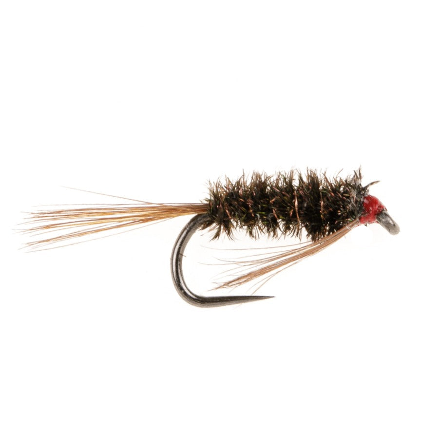 SLIM LINE NYMPH BARBLESS FLY DIAWL BACH – H Turrall & Co Ltd