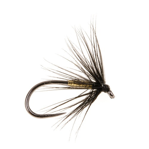 GOLD & BLACK SPIDER BARBLESS