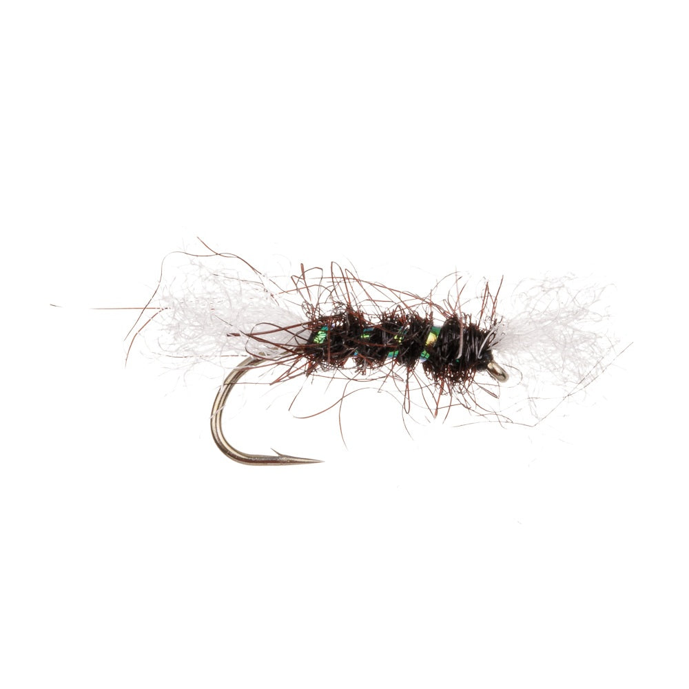SHIPMANS BUZZ - Black