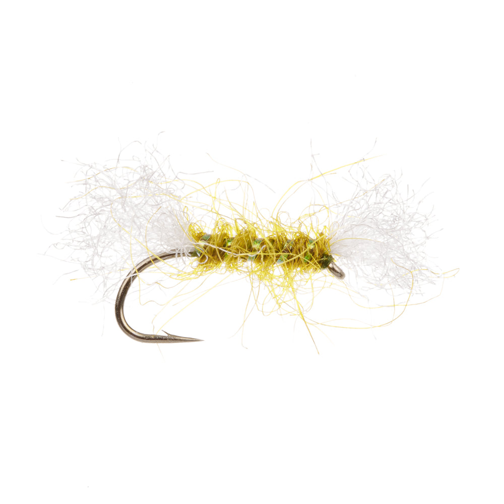 SHIPMANS BUZZ - Olive