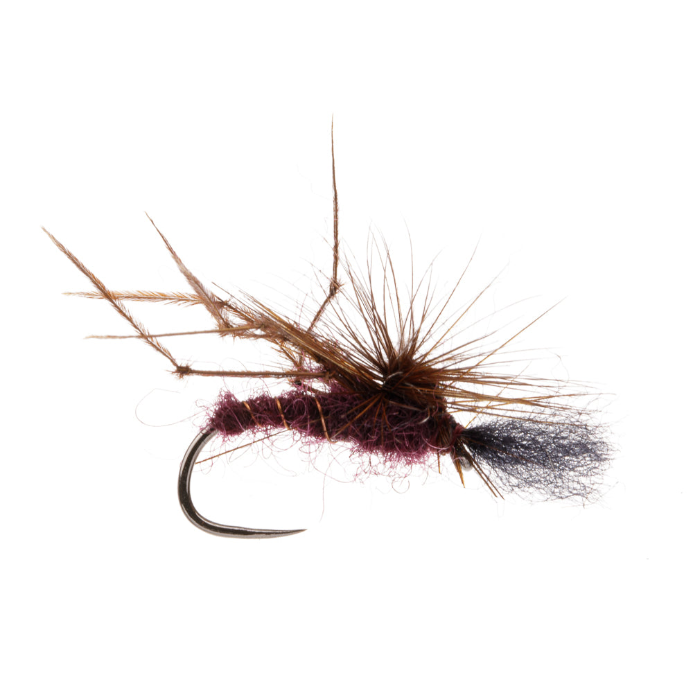 FLASH BELLY HOPPER CLARET BARBLESS