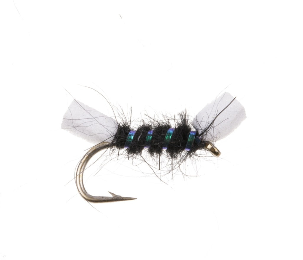 STILLWATER FLY FOAM SHIPMANS BUZZ BLACK – H Turrall & Co Ltd