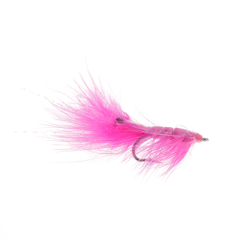 PINK ICELANDIC SHRIMP