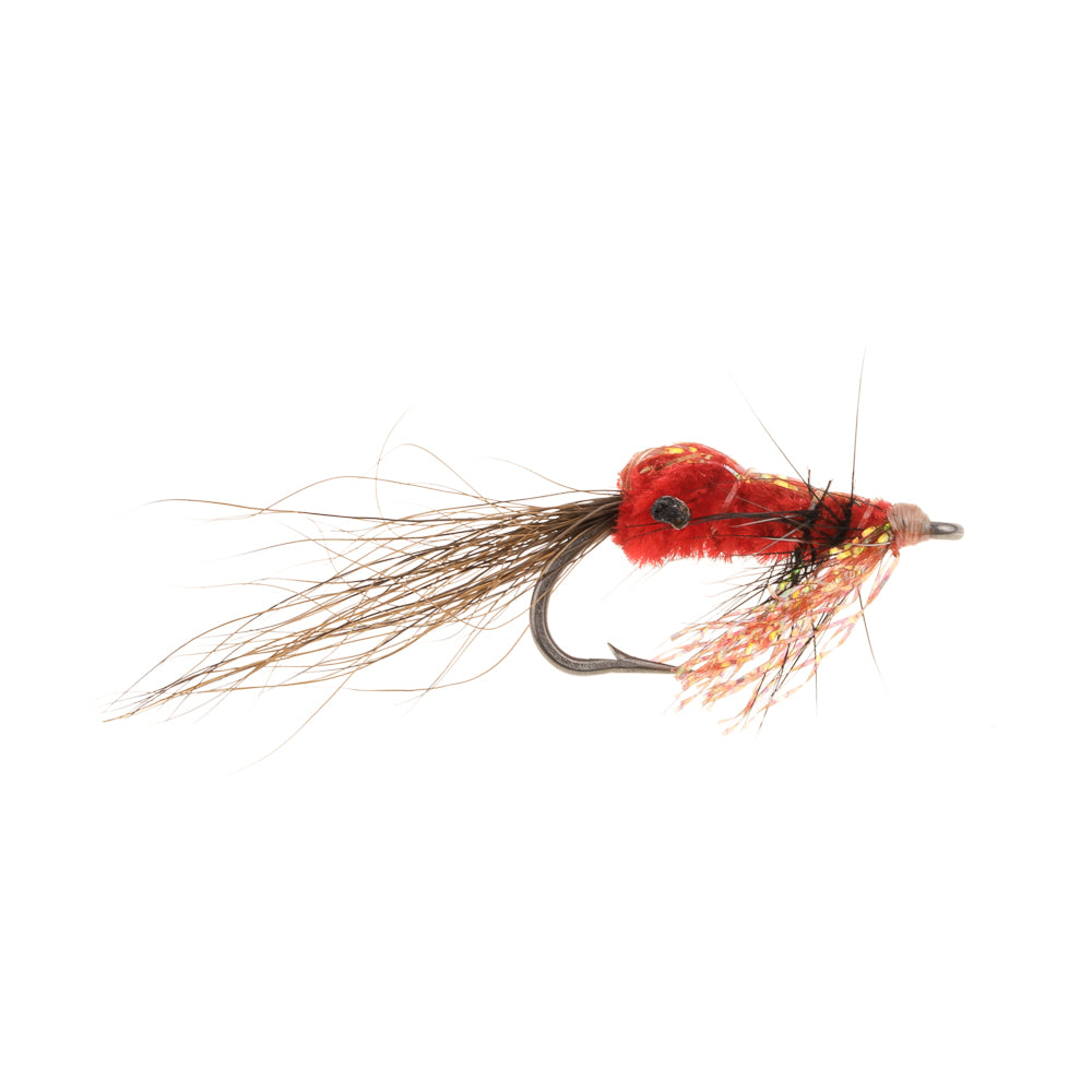 SCATES SHRIMP-RED