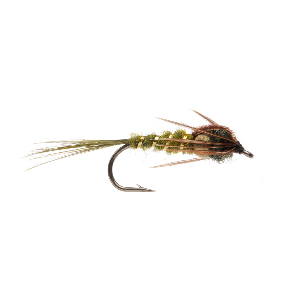 THORAX DEMOISELLE