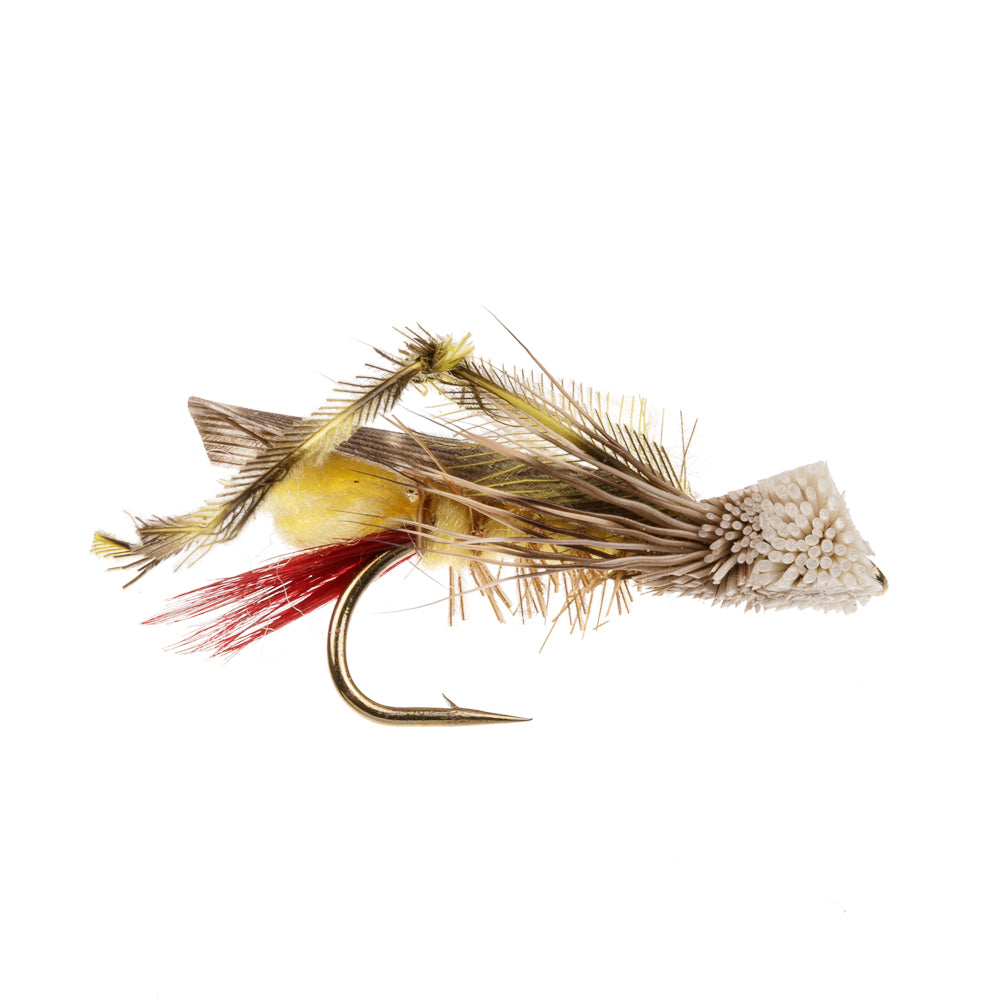 DAVE'S HOPPER