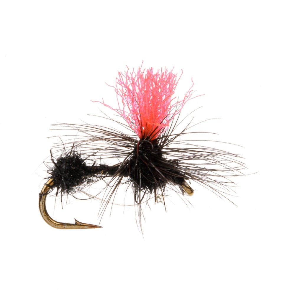 ANT HI VIS DRY