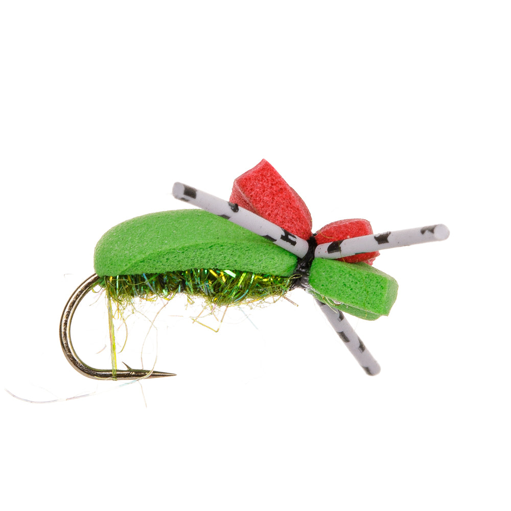 GREEN FOAM BEETLE