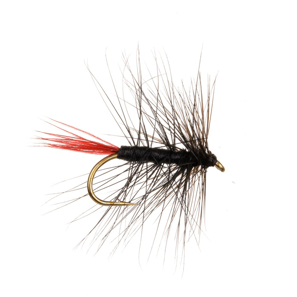 BLACK PALMER WET HACKLED