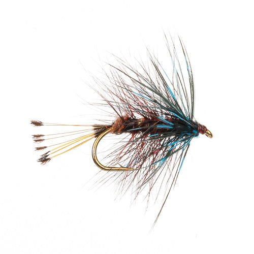 BUMBLE CLARET WET WINGED