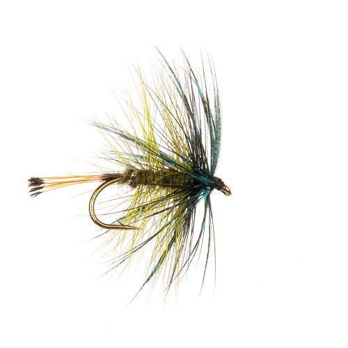 BUMBLE GOLDEN OLIVE WET WINGED
