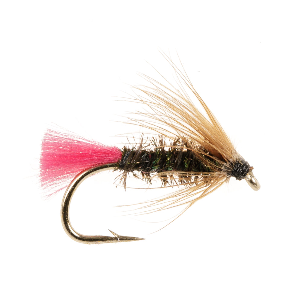 PINK PEACOCK