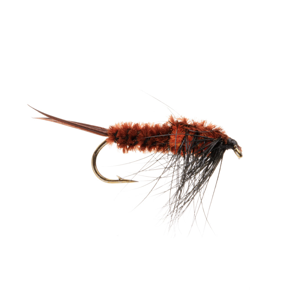 TED'S STONE FLY