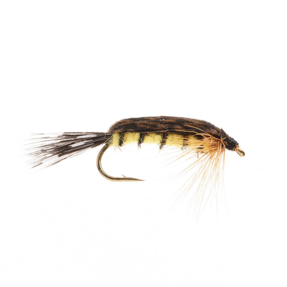 TELLICO NYMPH