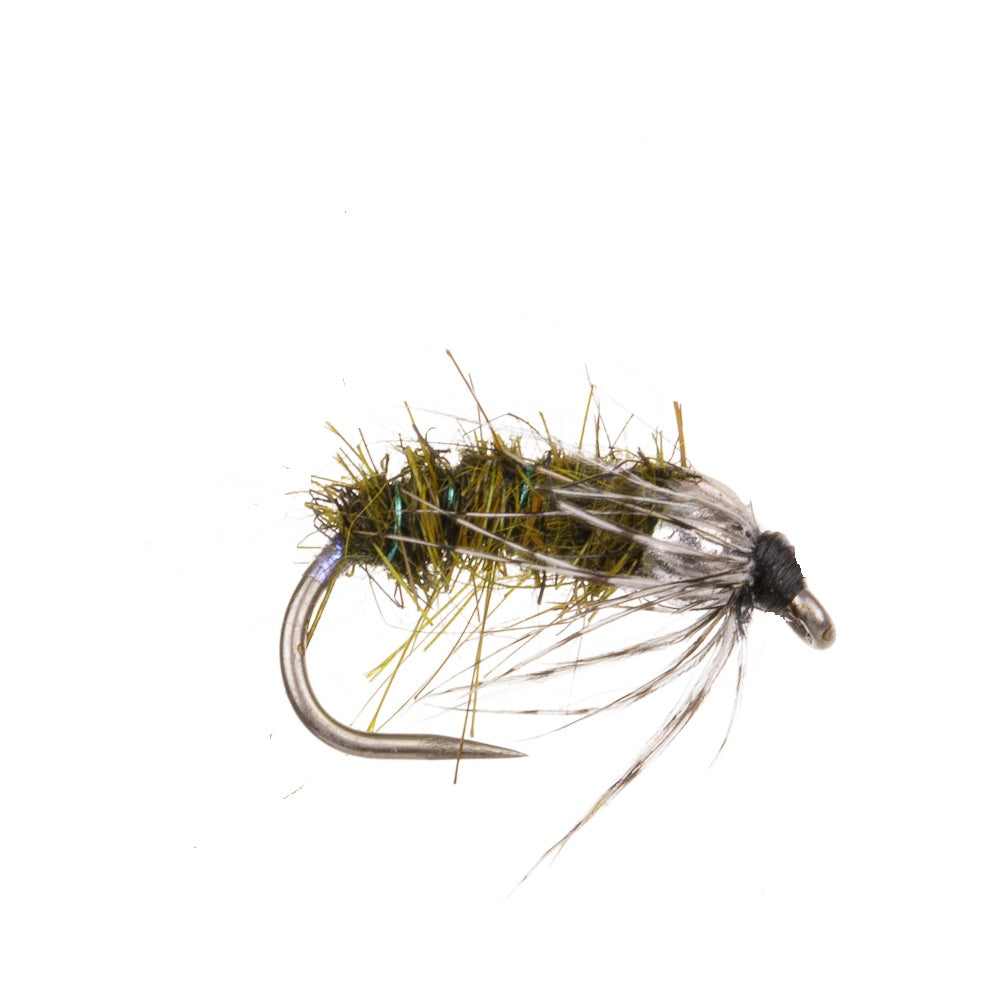 UNIVERSAL NYMPH