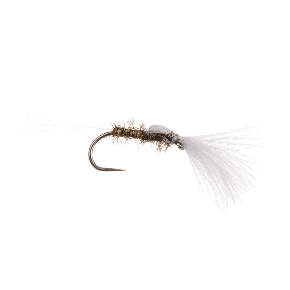 UNIVERSAL EMERGER