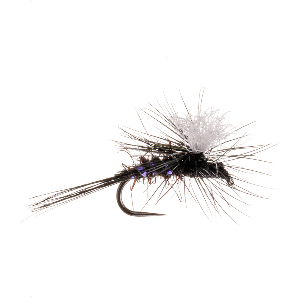 SKINNY BLACK GNAT