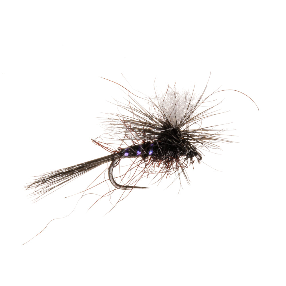 HI VIS BLACK GNAT