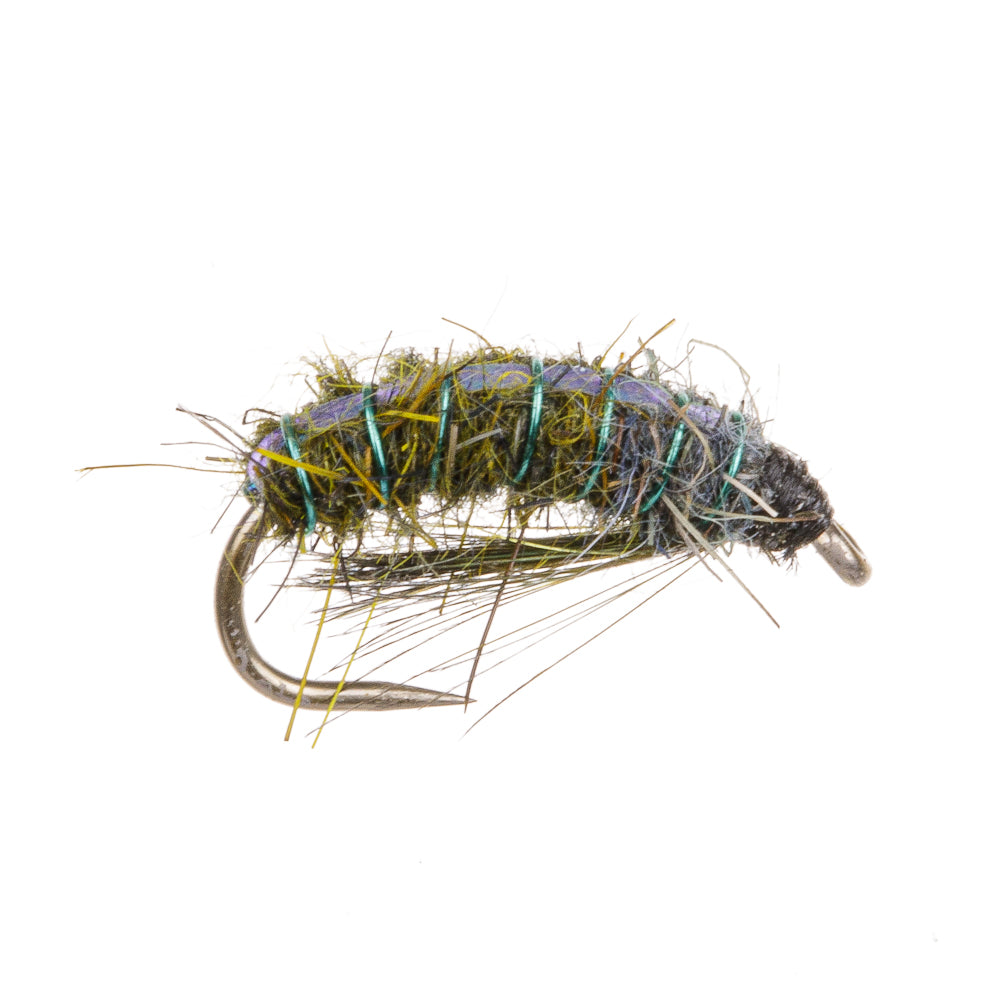 SHELLBACK NYMPH