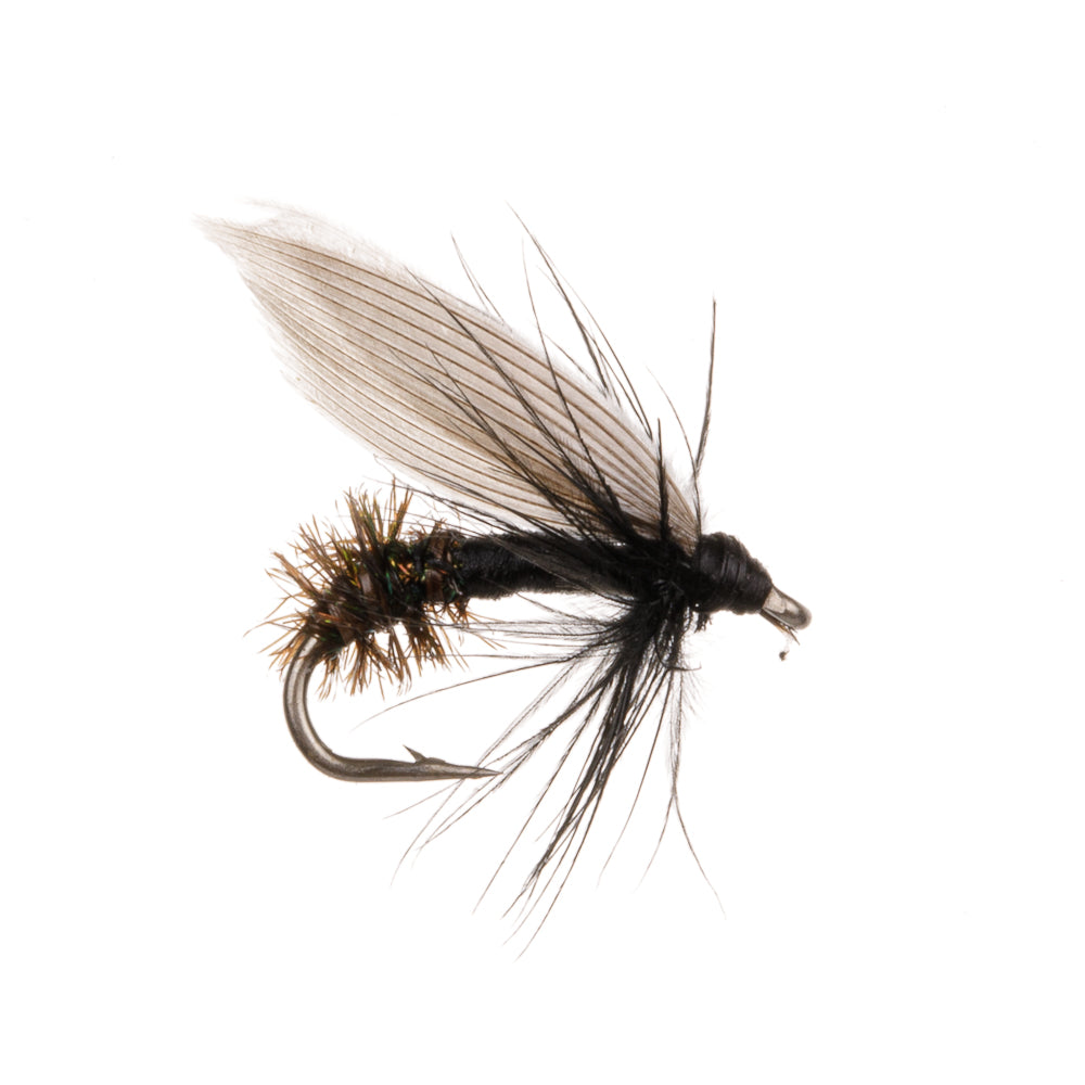 BLACK ANT DRY WINGED