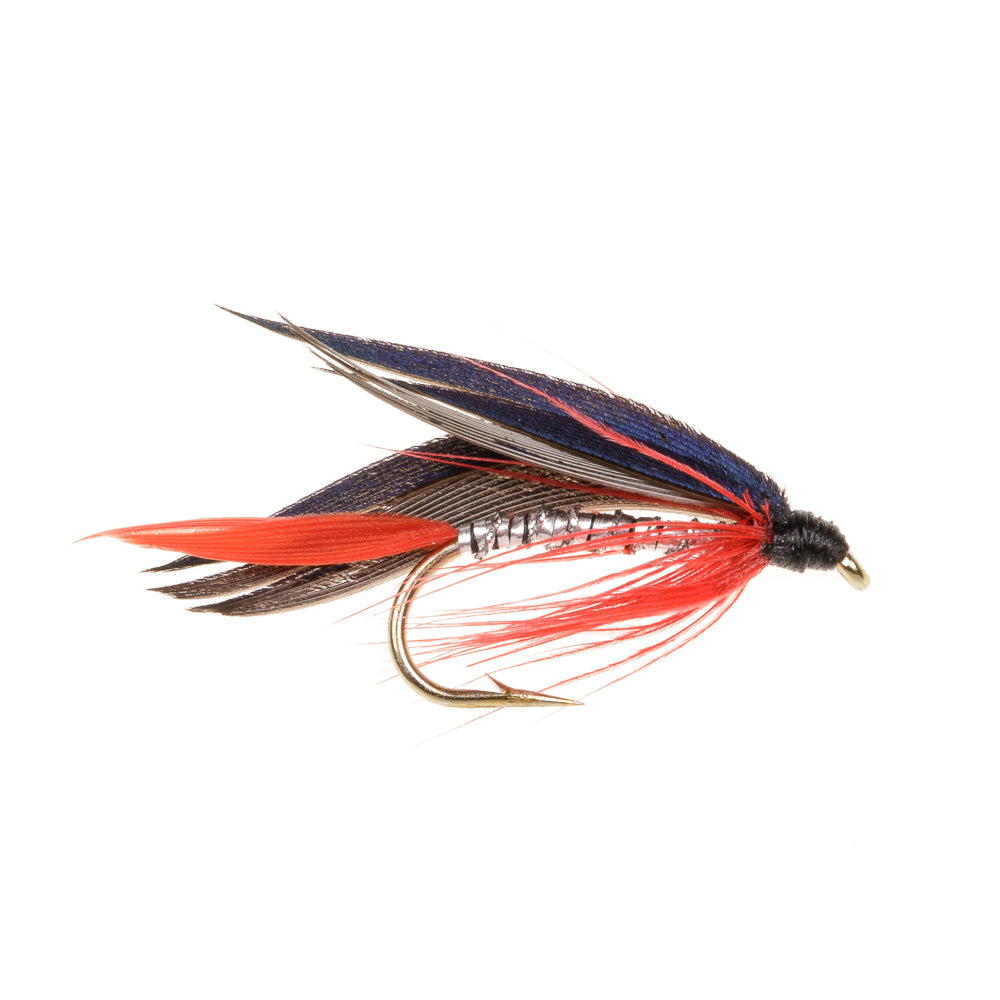 BLOODY BUTCHER WET WINGED