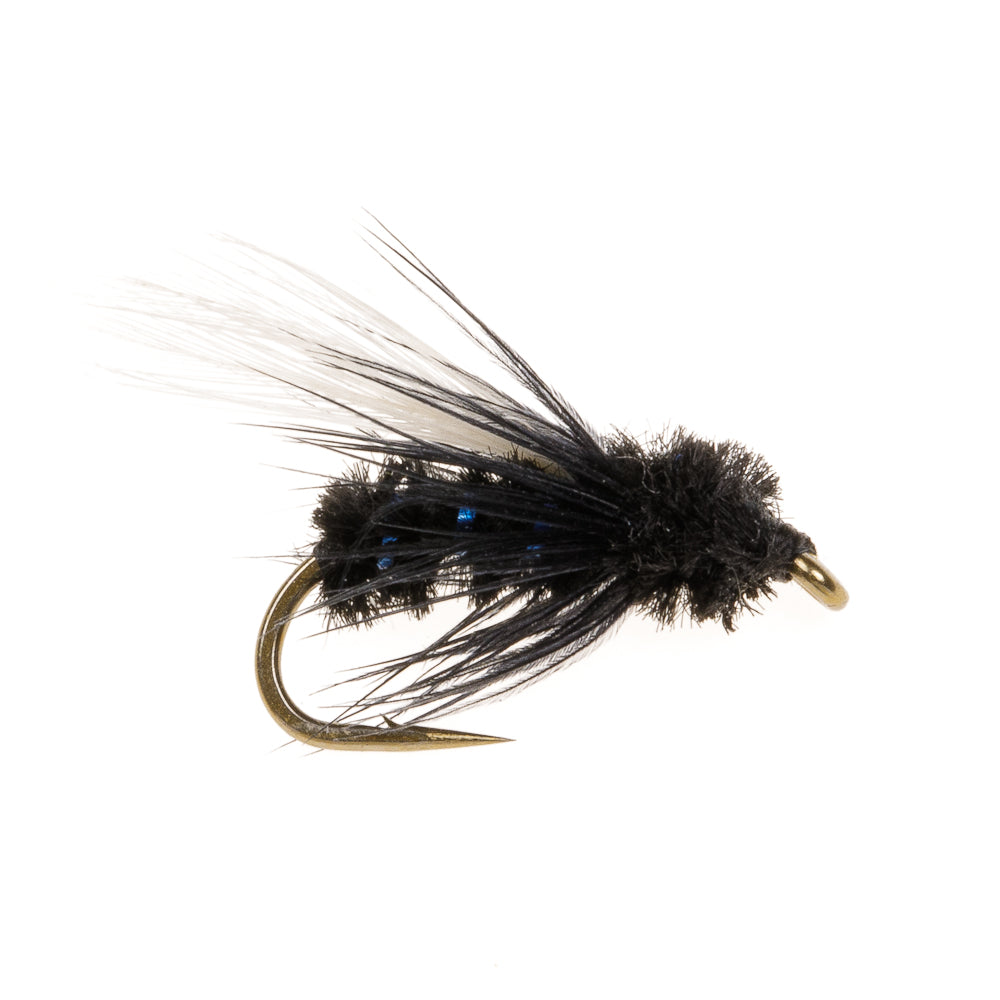 BLUE BOTTLE WET WINGED