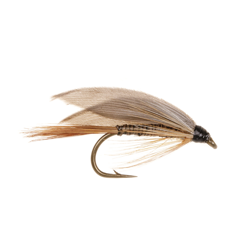 BLUE DUN WET WINGED