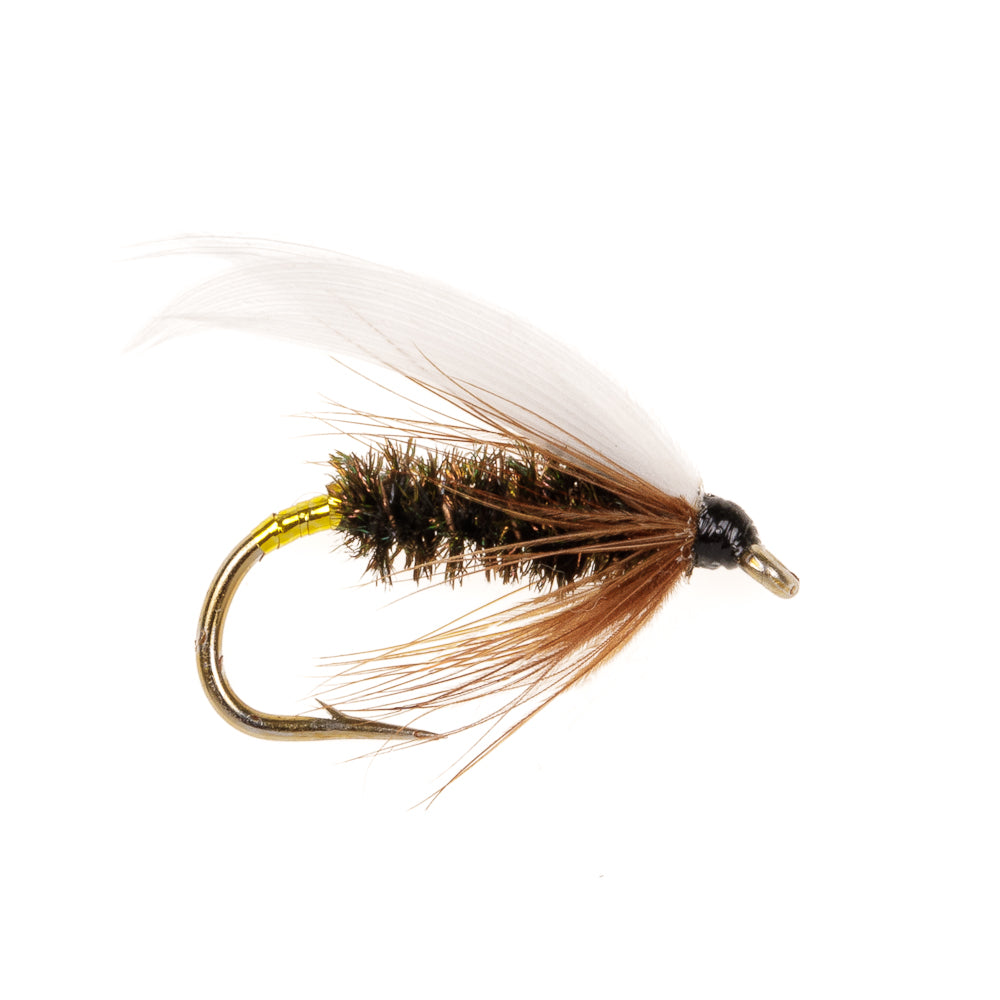 COACHMAN WET WINGED