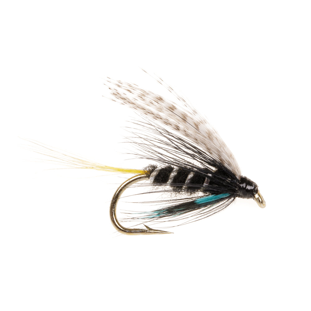 CONNEMARA BLACK