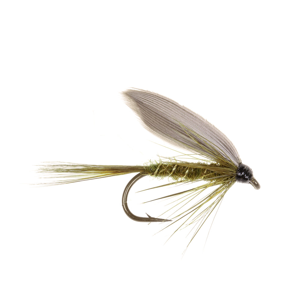 DARK OLIVE DUN WW