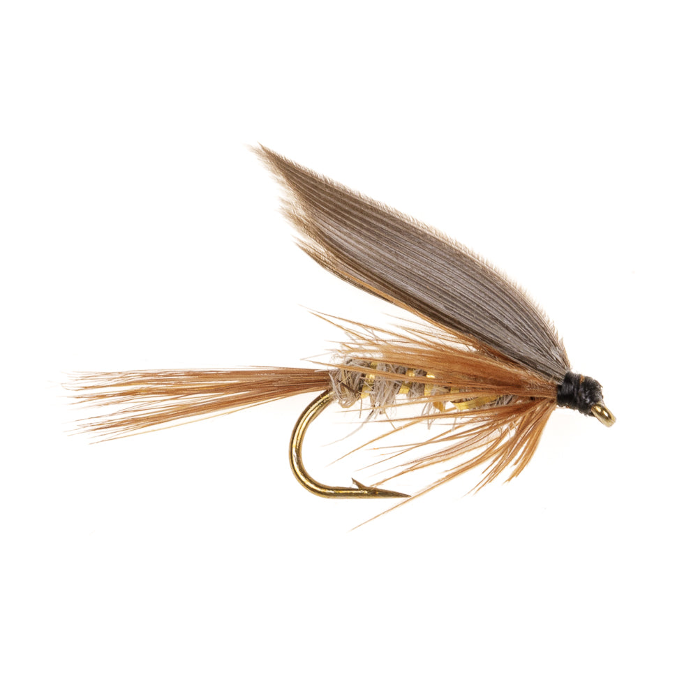 GOLD RIB HARES EAR