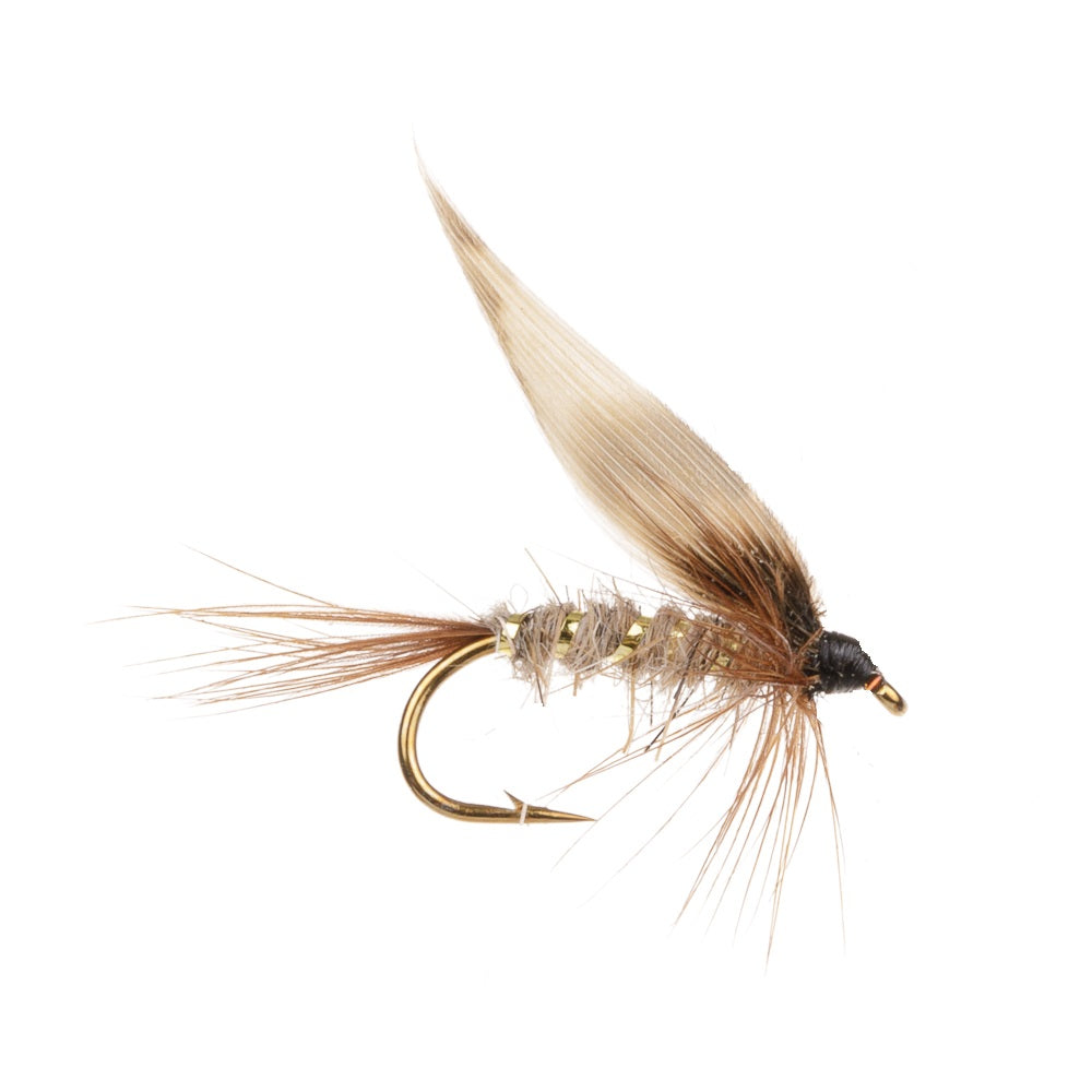 WOODCOCK - Hares Ear