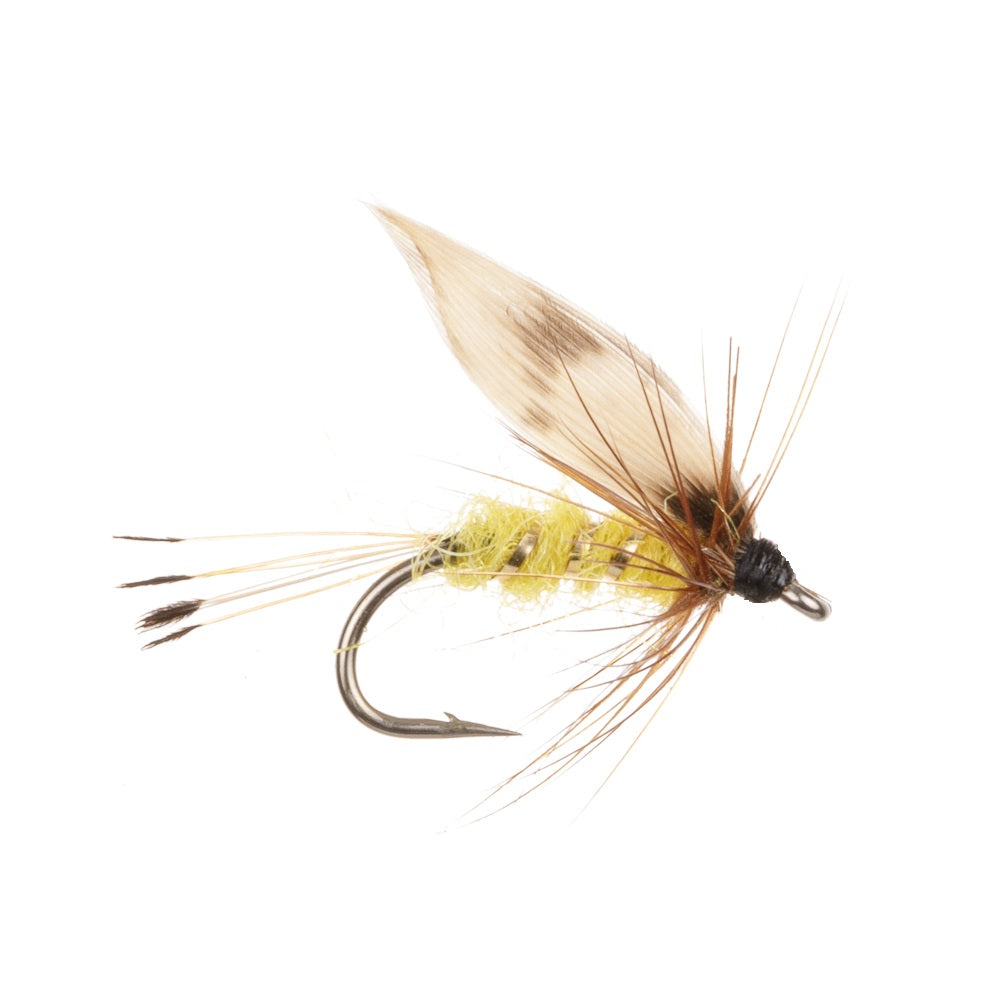 WOODCOCK & YELLOW