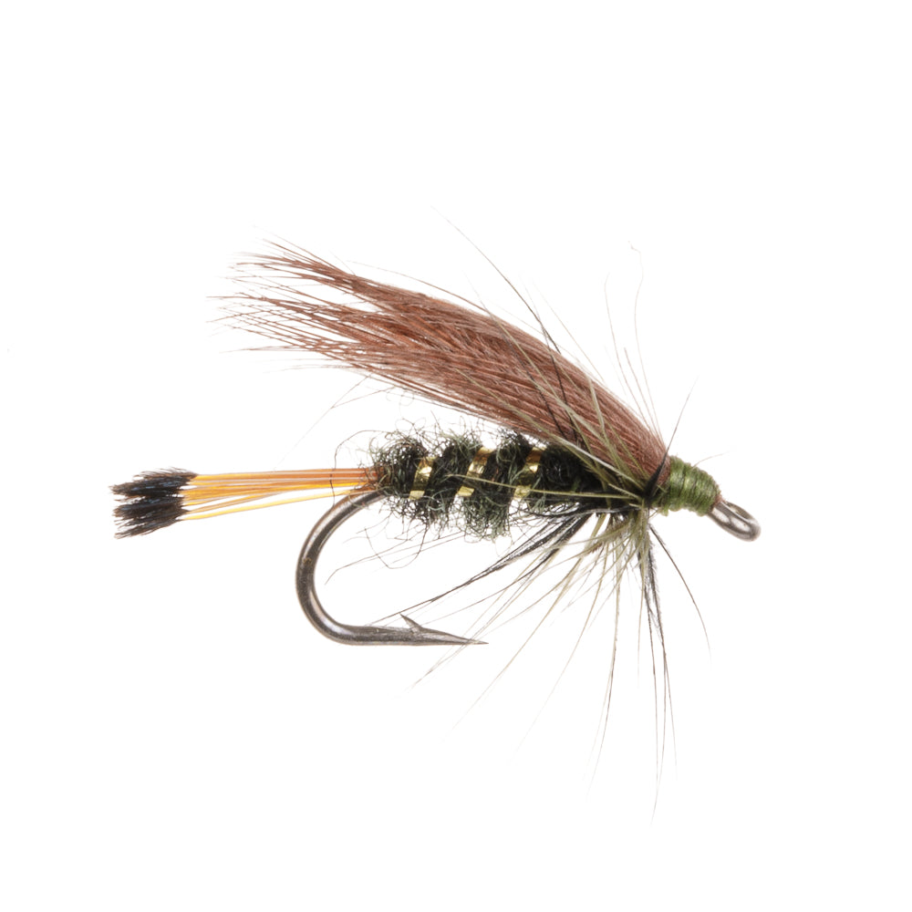 SOOTY OLIVE