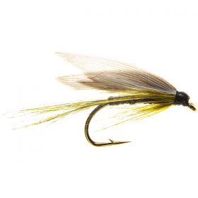 OLIVE QUILL
