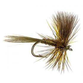 CDC THORAX PEACOCK OLIVE