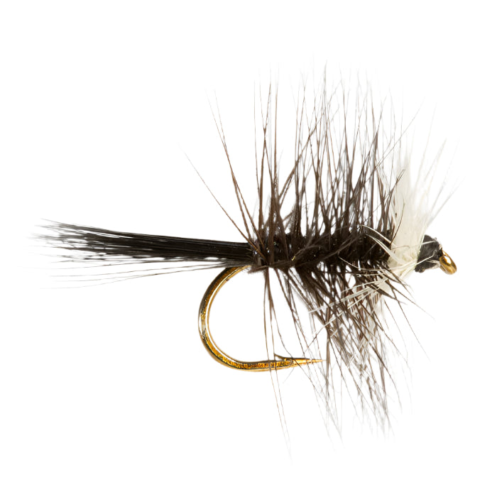 A dry fly fishing lure with a hackled brown and black body and a white tail.