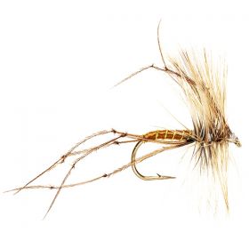 DADDY LONG LEGS BROWN