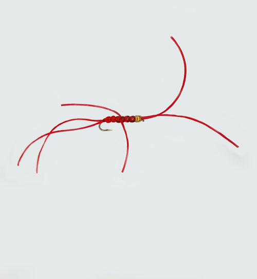 BLOODWORM APPS BEAD HEAD