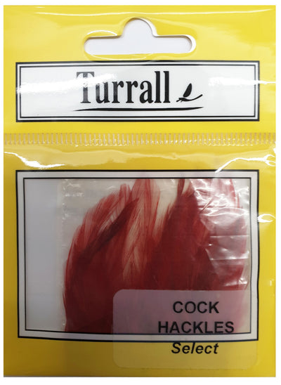 COCK HACKLES SELECT