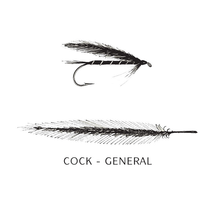 COCK HACKLES GENERAL