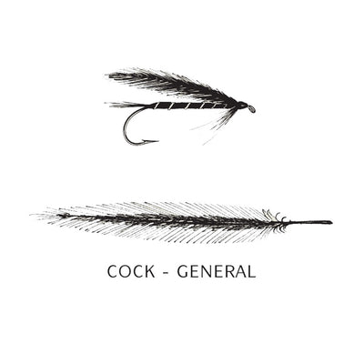 COCK HACKLES GENERAL